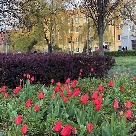 Mona Wrzeszcz Lägenhet Gdańsk Exteriör bild